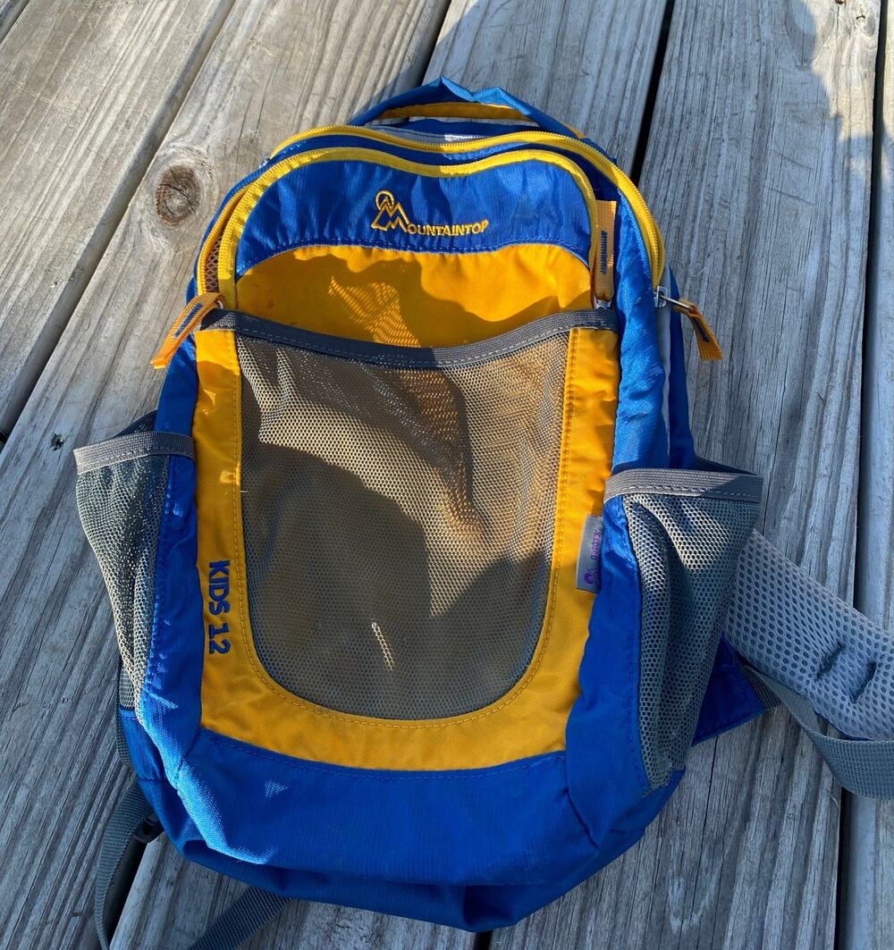 Mountaintop Kids 12 Toddler/Small Child Backpack - Blue/Yellow